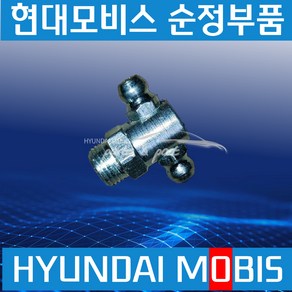 메가트럭 트라고 엑시언트 파비스 뉴파워트럭 구리스니쁠 10mm T자 491557M000