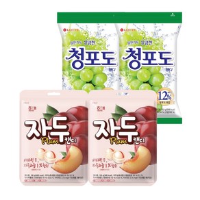 [동명마켓] 롯데 청포도캔디 153g *2봉 + 자두캔디 130g *2봉/과즙/과일맛캔디/사탕/간식/과자, 1개