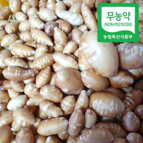 [산지직송] 신선한 세척 인디언감자 아피오스, 1개, 1kg(중)