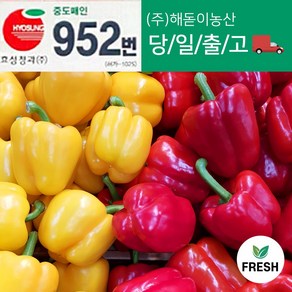 <해돋이농산> 국내산 못난이 파프리카 노랑 1kg 2kg 1박스(4.5kg내외), 1개