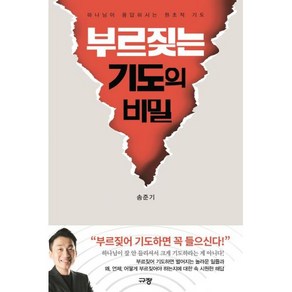 부르짖는 기도의 비밀 : 하나님이 응답하시는 원초적 기도, 규장