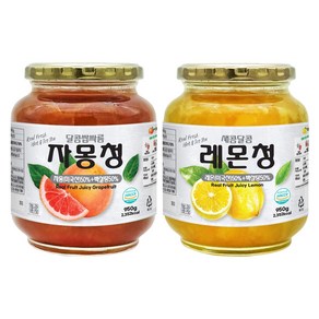 견과공장 자몽청 950g + 레몬청 950g, 1세트