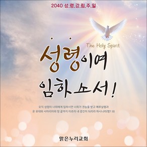 [맑은누리디자인] 성령강림 현수막 005-(150x150cm) [주문제작] 교회 성령강림주일 성령강림절