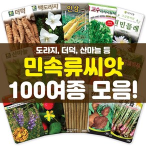 각종 민속류 씨앗 모음 더덕 도라지 당귀 나물 고수 약초 산채 씨 종자, 61-황금1000립, 1개