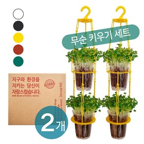 [몬도미오_리컵키트] 2인 패키지(무순씨앗)_업사이클링 체험 학습 만들기 키트 DIY 화분, 블랙(Black)