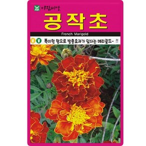 아람종묘 엉겅퀴씨앗 100립, 1개