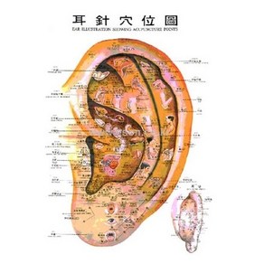 인체이침혈위도, 종이코팅지