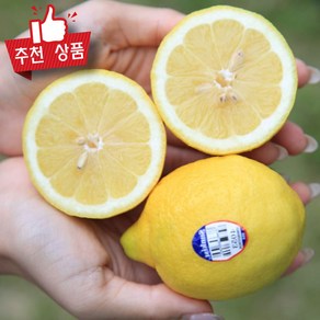 직수입 생레몬 lemon 중소과 레몬 생과, 5개, 1개 100g~150g 내외