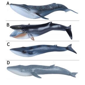 도다인몰 해양 동물 대왕 고래 피규어, 푸른고래B, 1개