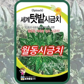 모칸도 세계종묘 텃밭시금치 40g, 1개