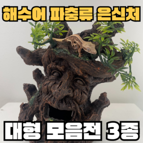 주스터디 도마뱀 은신처 나무요정 수족관 장식, 엘더킹, 1개