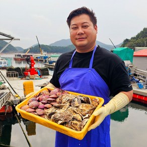 통영빛굴 깨끗세척 입망석화 각굴 석화 굴 5kg 10kg 석가세트 석화+홍가리비 생산자인증, 1개, 석화5kg+홍가리비3kg