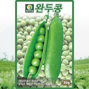 다농 완두콩 씨앗 50g 왜성종 완두콩씨 종자