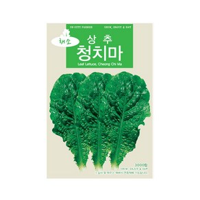 (CN) 청치마상추 씨앗 (3000립), 1개