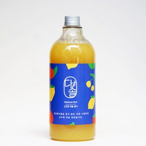 다솔 리얼 레몬 시럽 고농축 레몬청 대용량 수제청 1000ml, 1개, 1L