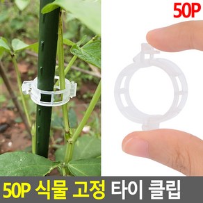 식물고정 클립 50P 투명 원예고정끈 작물고정 원예끈, 50개