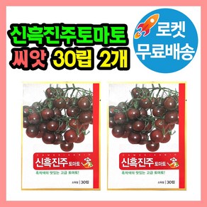 신흑진주 토마토 씨앗 (합 60립) 방울토마토 고급토마토 종자, 2개