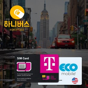 미국 고속무제한 데이터 전화 유심(개통예약 필수), 1개, 30일, EcoMobile 고속무제한