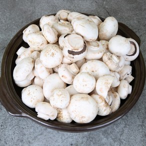 전대표 부여 못난이 양송이버섯 산지직송 ugly white button mushoom, 1개, 2kg