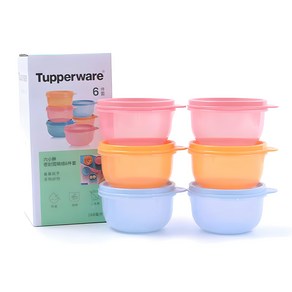 타파웨어 Tupperware냉동 국 보관용기 260ml 세트