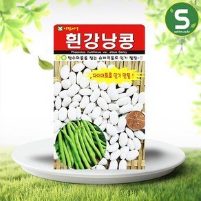 솔림텃밭몰 흰강낭콩씨앗 30g 강낭콩씨앗 콩씨앗 슈퍼곡물