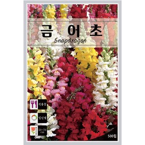 금어초 맥시멈 씨앗 혼합 2g 금어초씨앗 꽃씨 씨앗 대장, 1개