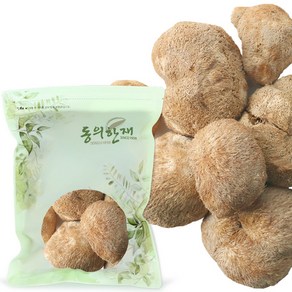 동의한재 국산 말린 노루궁뎅이 버섯, 100g, 1개