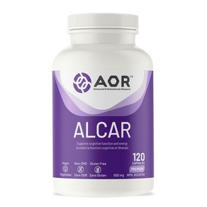 AOR ALCAR 아세틸 L-카르니틴 500mg 120정, 1개