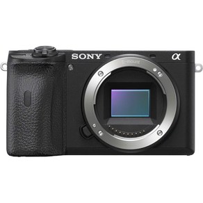 소니 SONY 미러리스 일안 α6600 바디 블랙 ILCE-6600, 단일 옵션