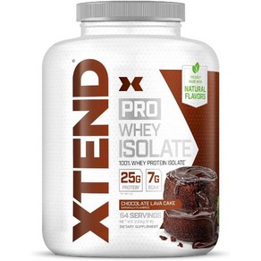 엑스텐드 bcaa 프로틴 whey 아이솔레이트 유청단백질 초콜릿 라바케이크 2.3KG, 1개