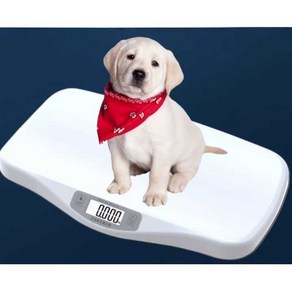 강아지 체중계 고양이 애견카페 샵, 1개, 상세 페이지 참고, 흰색 24kg 56x33cm