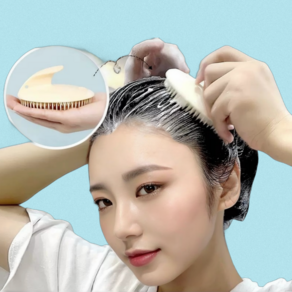 [프레쉬뉴/1+1] 저자극 두피 마사지 헤어 빗 샴푸 브러쉬, 1개, 원쁠원