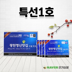 [광천명신맛김] 김 특선세트 1호 (전장20봉 x 20g), 1세트