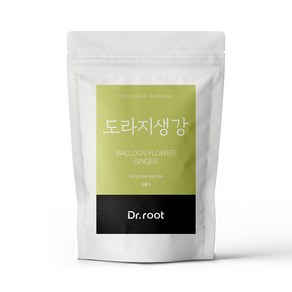 닥터루트 도라지생강 삼각티백, 1개, 25개입, 1.2g