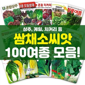 각종 엽채류 쌈채소 씨앗 모음 상추 배추 갓 시금치 치커리 씨 종자, 011-그린볼버터헤드1000립, 1개