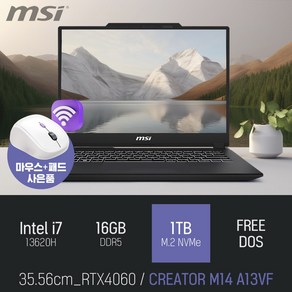 MSI 크리에이터 M14 A13VF + 사은품 증정, Fee DOS, 16GB, 1TB, 그레이