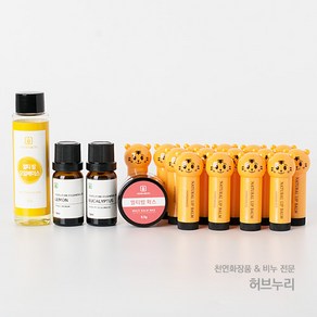 호랑이 립밤 DIY 묶음상품, 4.5g, 1개