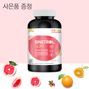 로얄 캐네디언 800mg 시네트롤 슬림 25배 농축 자몽 67배 농축 오렌지+ 프로바이오틱 마누카허니 사은품 증정