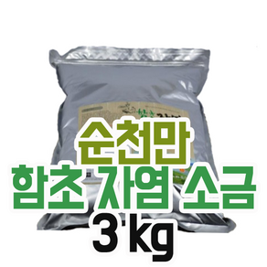 순천만함초 진짜배기 자염 3kg 저염 소금 미네랄, 1개