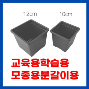 <국내생산> 삽목화분 플분 검정화분 10cm 12cm 사각화분 다육화분 플라스틱화분