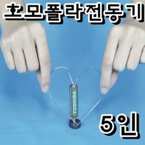 호모폴라전동기(5인용), 1개