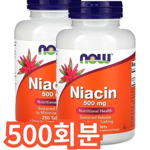 나우푸드 더블 스트랭스 플러쉬-프리 니아신 500mg 베지 캡슐 비건, 1개, 500회분