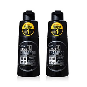 GDS블랙모 딱한번 염색 샴푸 250ml x 2통 흰머리 새치, 2개