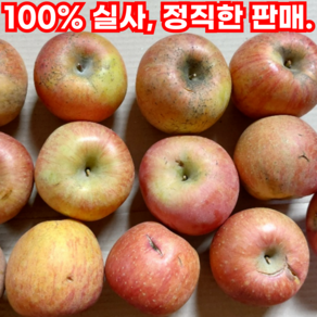 못난이사과(흠집 가정용) 경북 의성 옥산 꿀 사과 부사 5Kg 10Kg, 1박스, 10Kg(35-40개