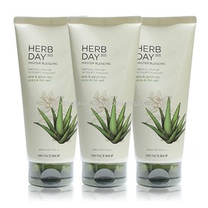 더페이스샵 허브데이 마스터 블렌딩 페이셜 클렌징폼 알로에, 170ml, 3개