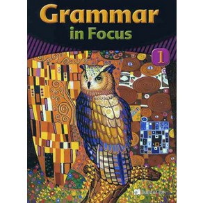 GRAMMAR IN FOCUS. 1