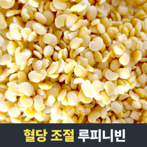 [혈당조절] BENEFARM 루피니빈 당뇨에좋은 식물성단백질 당뇨관리 단백질 당뇨콩 호주루피니빈 식이섬유 곡물 영양분 고소한