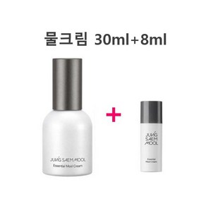 정샘물 에센셜 물크림 (쿠션과 찰떡궁합), 38ml, 1개