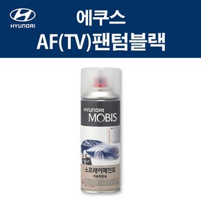 현대 순정품 에쿠스 AF TV 팬텀블랙 스프레이 287 자동차 차량용 도색 카페인트