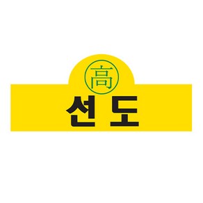 교련복 소품 졸사컨셉 코스프레 스튜디오 커플 스냅샷